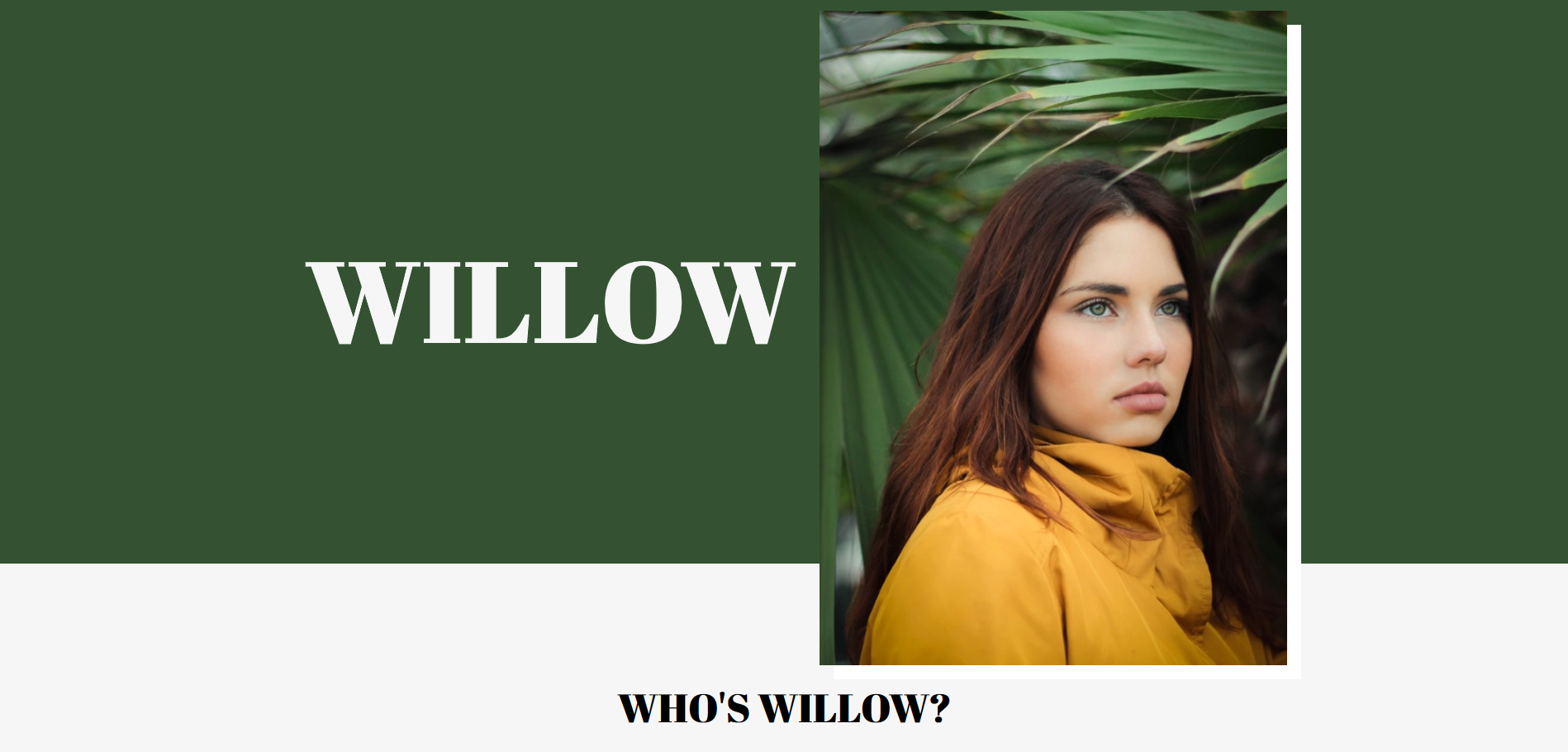 main homepage layout of Willow website